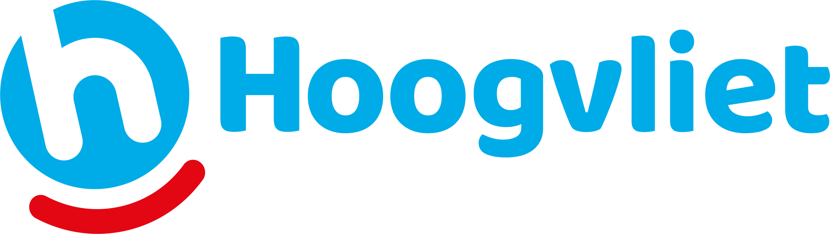 Hoogvliet